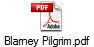 Blarney Pilgrim.pdf