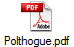 Polthogue.pdf