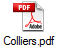 Colliers.pdf